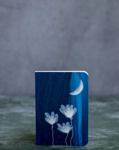 A Night Sky Notebook